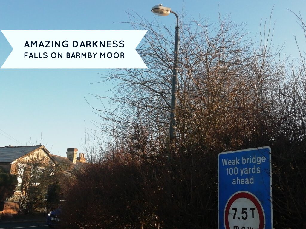 andy_strangeway's tweet photo. A boring morning at Strangeway Towers, so though I’d discuss darkness. I was amazed they have it in Barmby Moor! The street was dark as this tree is clearly sucking the light in like black hole. I do talk utter rubbish. #strangeway #blackhole #light #drain #amazing https://t.co/U1iehniqDp