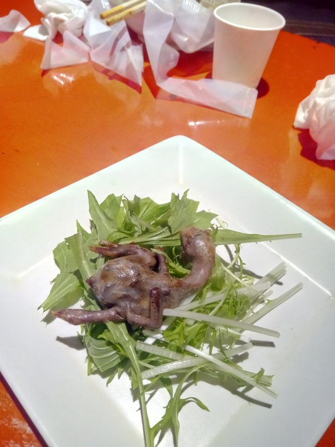 横浜の珍獣屋のメニュー一覧 昆虫や珍獣の料理が話題 閲覧注意 お食事ウェブマガジン グルメノート