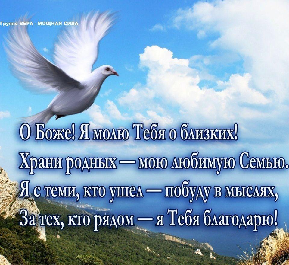 Стихи о родных и близких