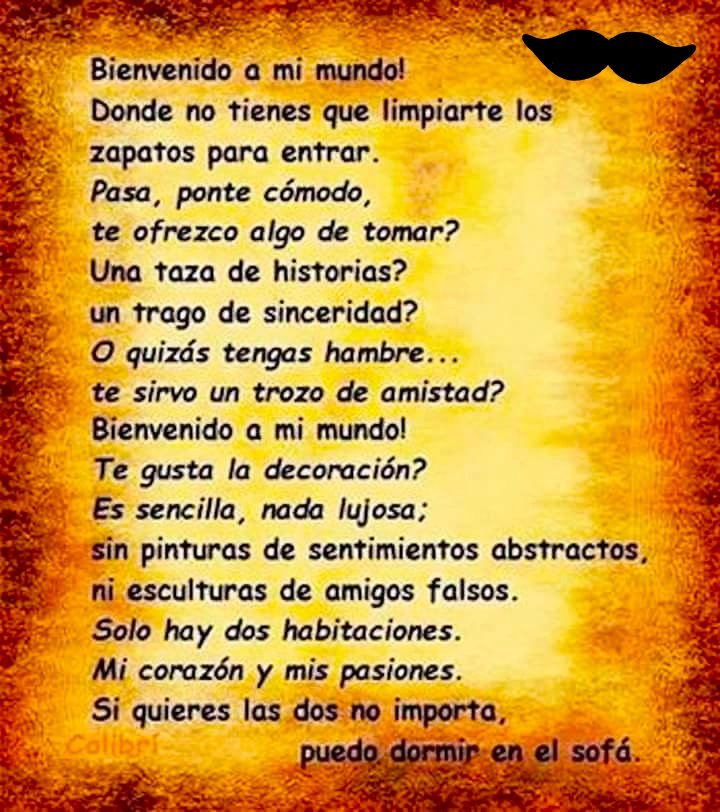 Chuchi tweet media