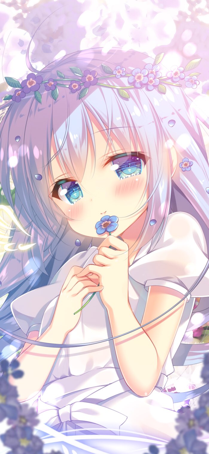 Twitter 上的 蜜桃まむ 2日目東a16a お誕生日お祝いイラストでスマホ壁紙リレー 今日はチノちゃんです 明日はリゼちゃん T Co Fkifjwqilf Twitter