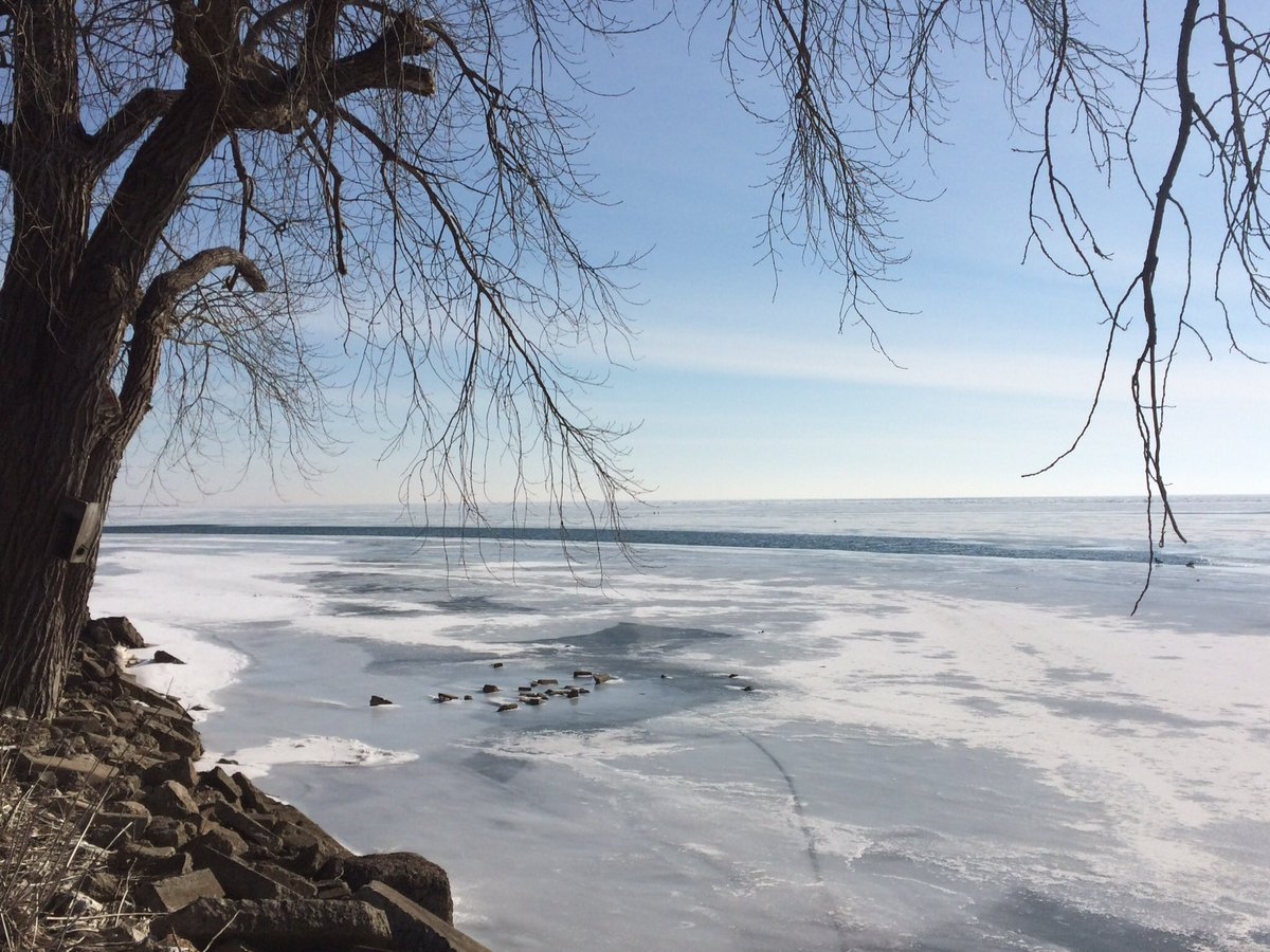 KristinaSuson's tweet photo. Iβve never thought much of groundhogs as weather forecasters. #PunxsutawneyPhilPhail #MarchInMichigan https://t.co/D0Wtd8UPAB