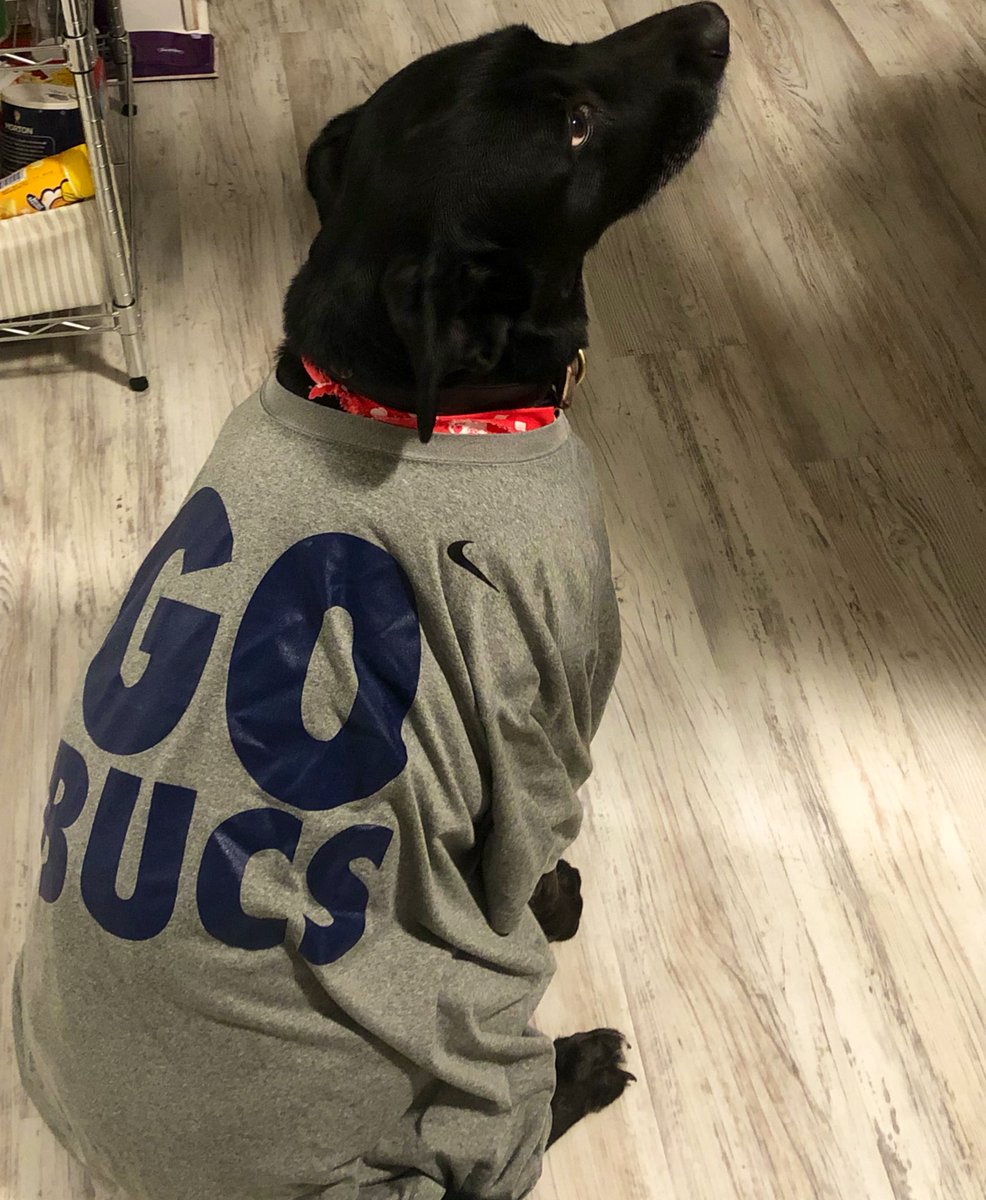 tannerball's tweet photo. Hattie is ready for @ETSU_MBB to #BeatChatt today! #SoConHoops #ETSUTough #BucUp https://t.co/BWfOf8MqEx