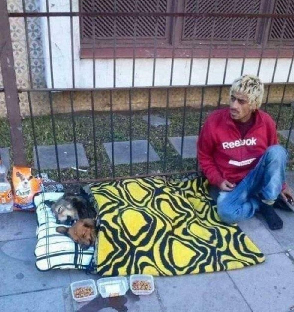Protect_Wldlife's tweet photo. Anonymous donors gave a homeless man some clothes, cash and clean bedding. When they passed by later, this is what they saw.

#Dogs ARE man's best friend!!

#DogsOfTwitter #DogsAreJoy ♥ https://t.co/GlEceRMbAK