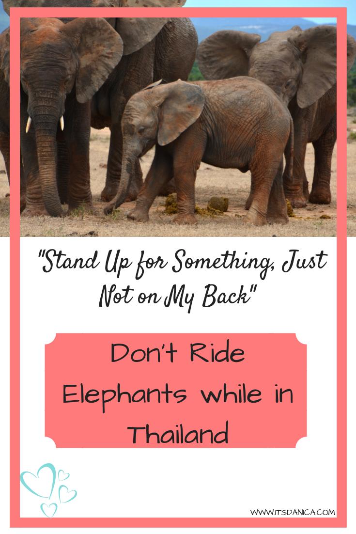 hey_ItsDanica's tweet photo. Don't Ride  Elephants #thailand #vacation 
https://t.co/hIhFe3lyza https://t.co/WkGI0bfoGc