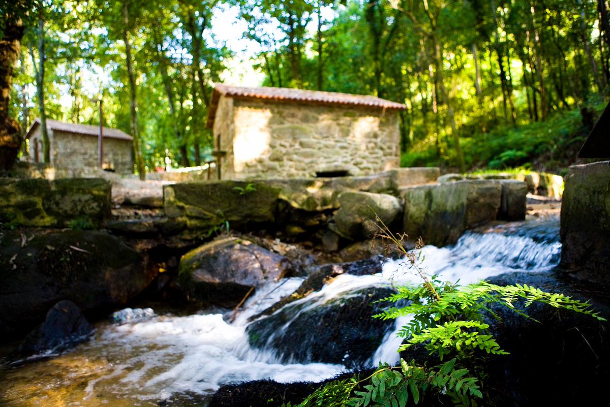 Visit_Osalnes's tweet photo. Mills Route of Simes: This route features ten water mills in a 2 km walk along the shores of the Chanca River. This route is located in #Meaño. #osalnés https://t.co/znrXpe3bdz