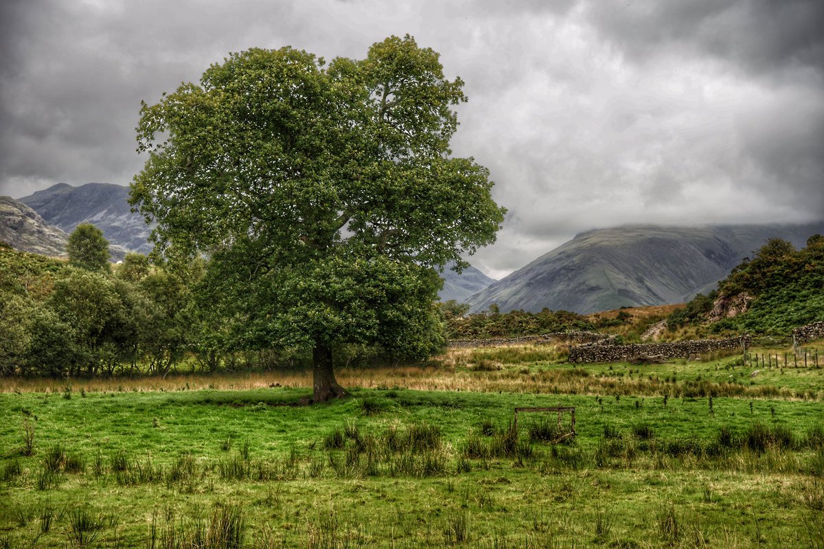 imagewich's tweet photo. Need to get back up into the Lake District, always good for the soul. #landscapes #Britain #LakeDistrict #Cumbria #mountains #photooftheday #dailyphoto #ukcaptures #SaturdayThoughts #ThePhotoHour #StormHour #EarthAndClouds #EarthCapture #LoveGreatBritain #GetOut #beautifulworld https://t.co/PXExHVzS6Y