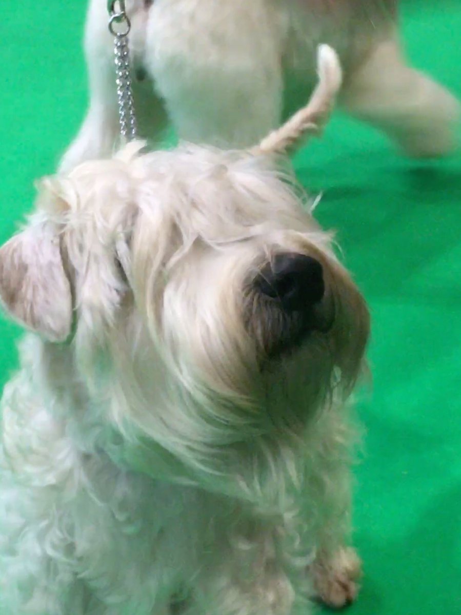 Clare Balding 💙 tweet media