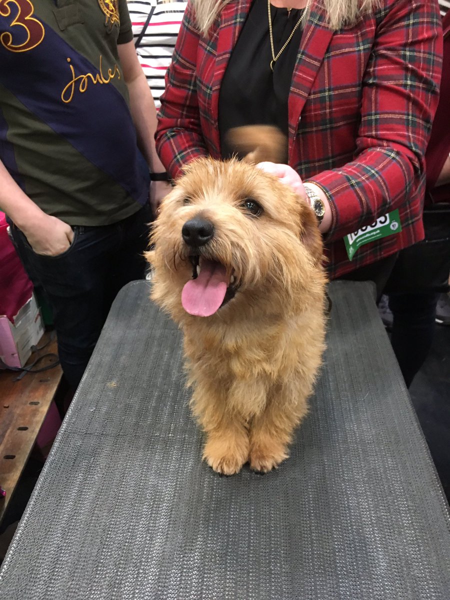 Clare Balding 💙 tweet media