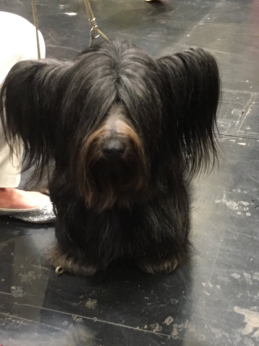 Clare Balding 💙 tweet media