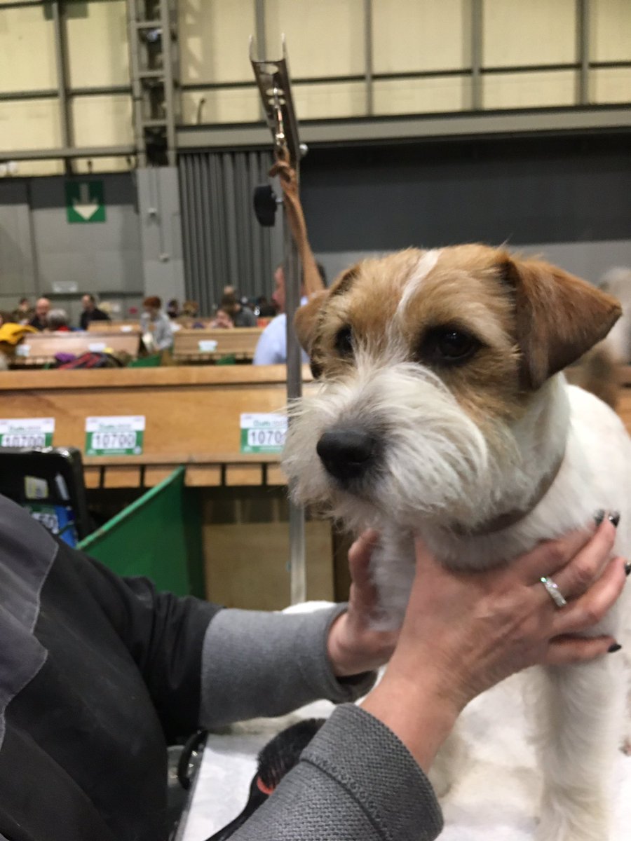 Clare Balding 💙 tweet media