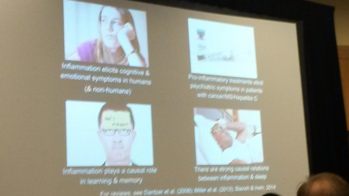 MariaKarab's tweet photo. Dr. Aoife O'Donovan on inflammation and mental health #APS2019VAN  #ThisIsHealthPsych #inflammation #PTSS #PTSD #health #mentalhealth #stress https://t.co/juriYMQKOV