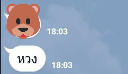 หมาปิดการฟอล tweet media