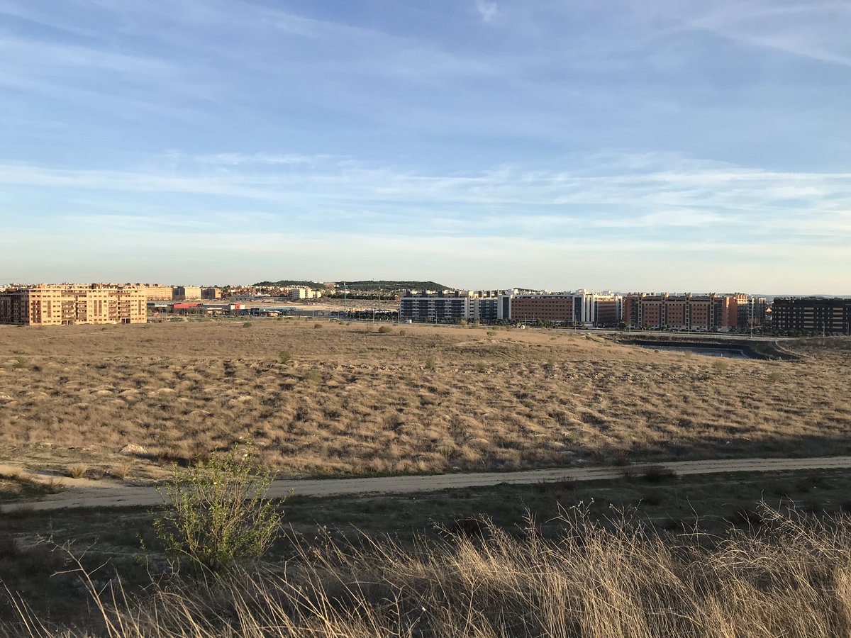 Y si #laluna tuviese aquí un pulmón para pasear? #petición <a href="/RivasAlDia/">Festyk</a> <a href="/Pedro_delcura/">Pedro del Cura</a>