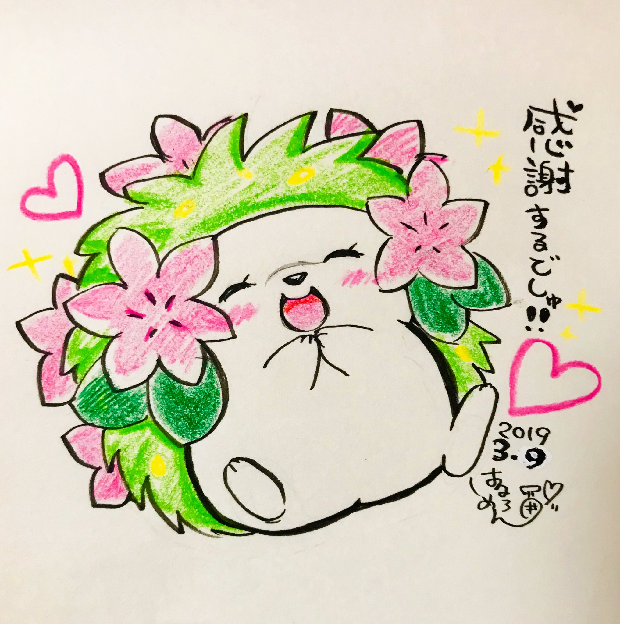 はるめろん メルヘン 3月9日 感謝の日という事で感謝ポケモンのシェイミ描きました ペンタブ調子悪くてパパっと描いた手描き落書きですいません ちなみにうちの2代目ハリネズミちゃんの名前はシェイミちゃんです 感謝の日 シェイミ ポケモン