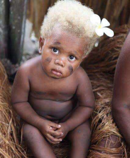 🍃🌸🍃ღ¸¸.•*¨*•.ღ🌸❥🌸¸.•*´¨`*•.¸🌸❥Melanésios🌸ღ¸.•🍃🌸🍃ღ¸¸¸¸.•*¨¨*•.ღ🌸❥🌸¸.•*´¨`*•.¸🌸❥🌸ღ¸¸¸.•  | Maryworks