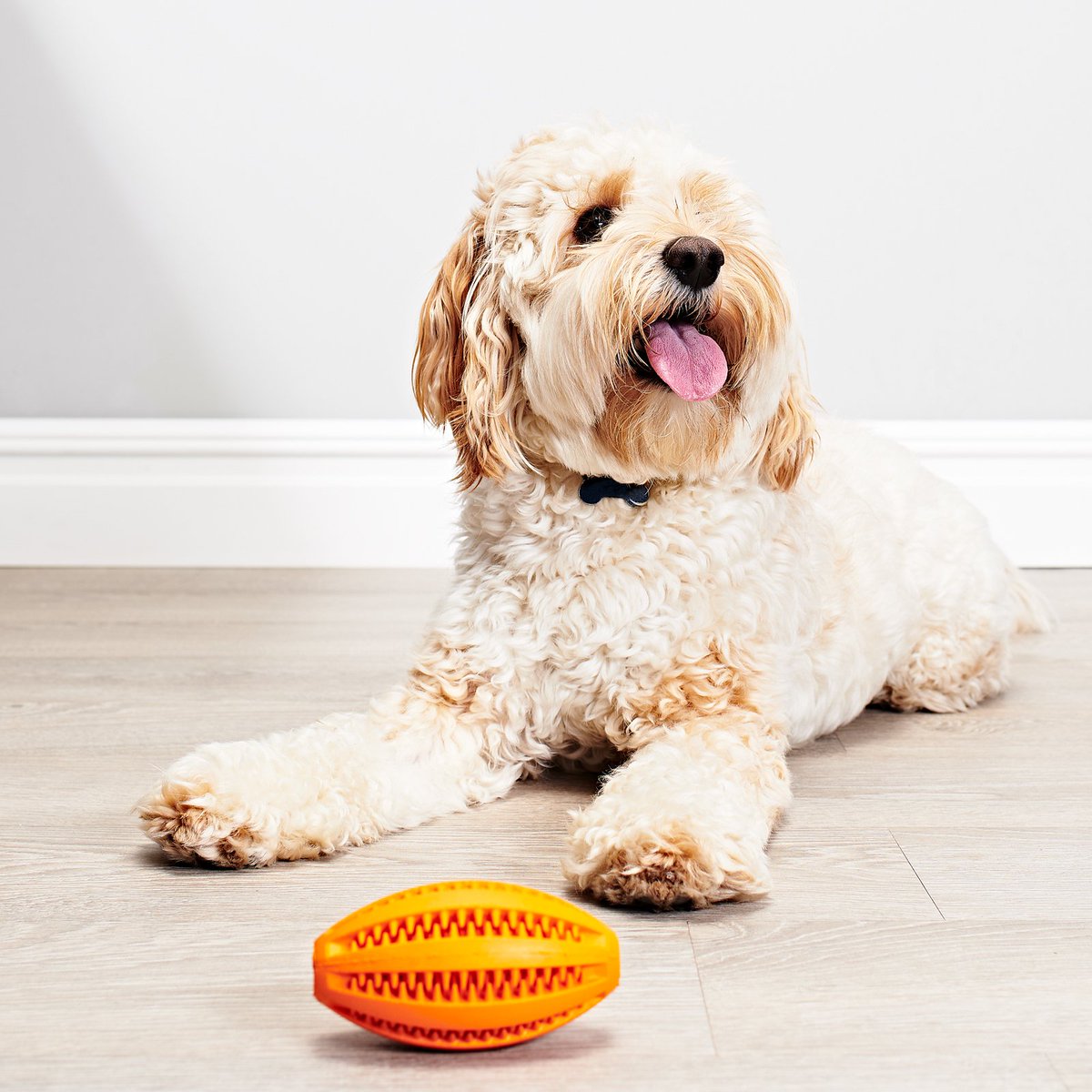 The MyTrendPet Rugby Dog Treat Ball comes in multiple colours and is perfect for rewarding your pet with a fun game. Get yours using the link in our bio... #mytrendtreatball #dog #puppy #pets #mansbestfriend #puppies