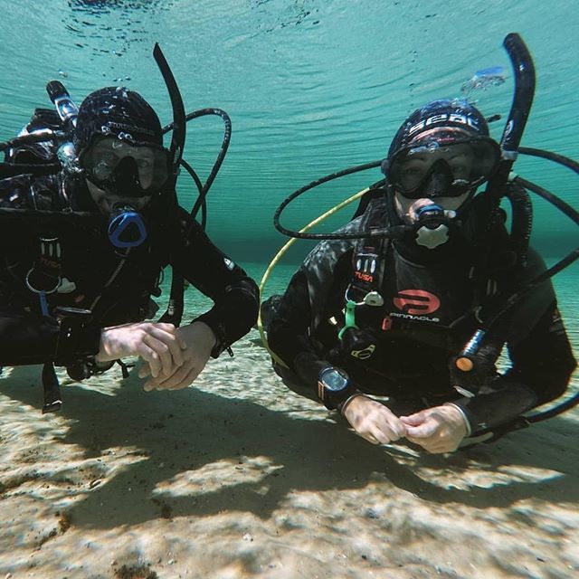 SDIdivers's tweet photo. That 👏 trim 👏though! 👊 #SDIdivers #diveSDI 📷@dayoscuba
#SDITDI #scubaeducation #recreationaldivers #scubaagency #scubainstructor #divedivedive #scubalife #scubadiving #scubalifestyle #scubadiver #scubadive #scuba_diving #divelife #scubatime #getcert… https://t.co/oCS7UWPwKH https://t.co/EWrsREZ1oC