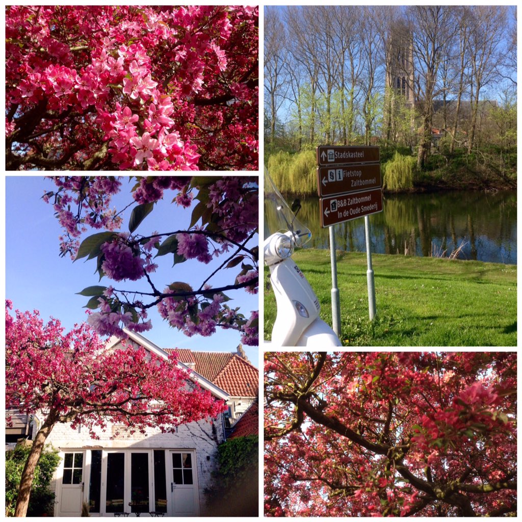 Welkom lente 🌱we zijn klaar voor je komst! #ontdek #zaltbommel <a href="/BZaltbommel/">B&B Zaltbommel</a> #stadswallen_zaltbommel #waal #fietsen