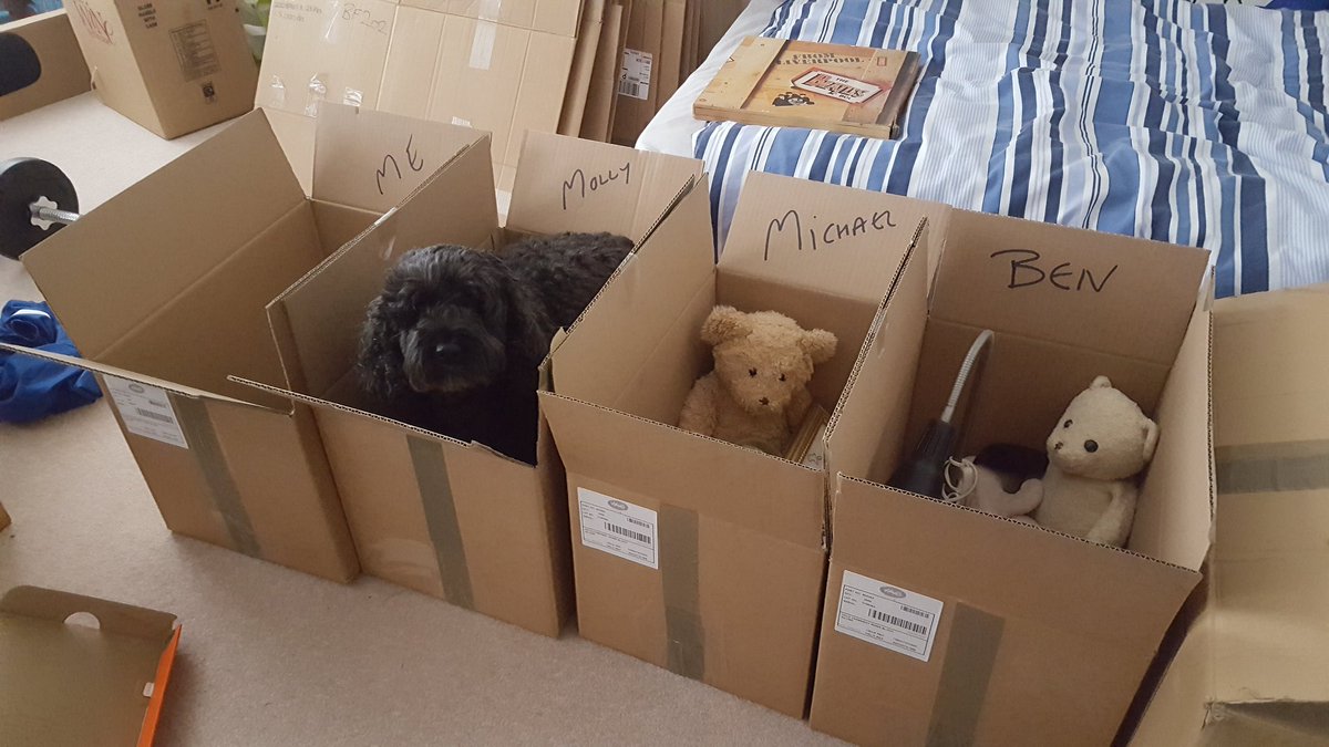CarolineAdams97's tweet photo. @RadioKLG @mrmichaelball @Crufts @ProfNoelFitz Unfortunately busy packing. https://t.co/ZOFC07a7cB