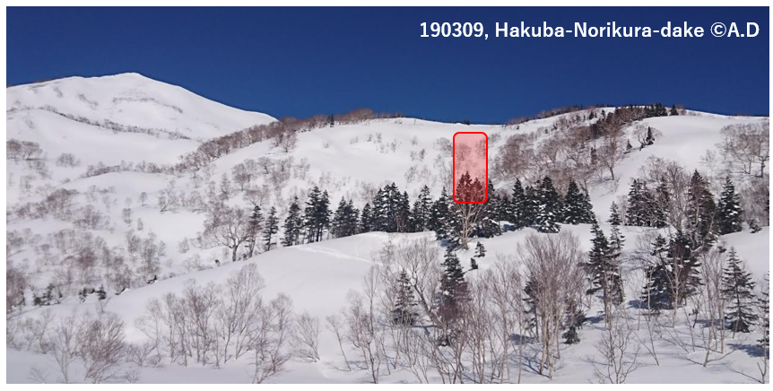 npo_jan's tweet photo. 【事故調査】2019年3月8日に白馬乗鞍岳・天狗原下の南東斜面（長野県）で発生した雪崩事故について、現場調査と捜索救助に係る聞き取りを行いましたので速報としてお知らせします。
https://t.co/bEO8iUYVT7
#nadare #雪崩 #avalanche #japow #バックカントリー https://t.co/DxJWiaSNFO