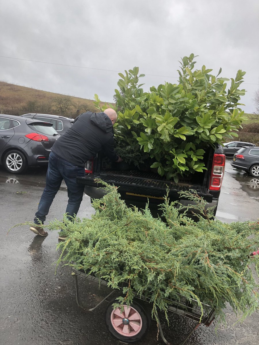 Some lovely greenery for front  #wallsendhall #gardening #spring