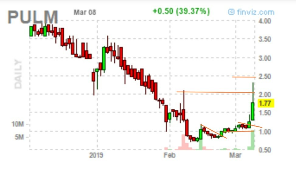 Boytrader08's tweet photo. $pulm 🚩
#pulmatrix 🇺🇸 https://t.co/dA9hNkbjZY