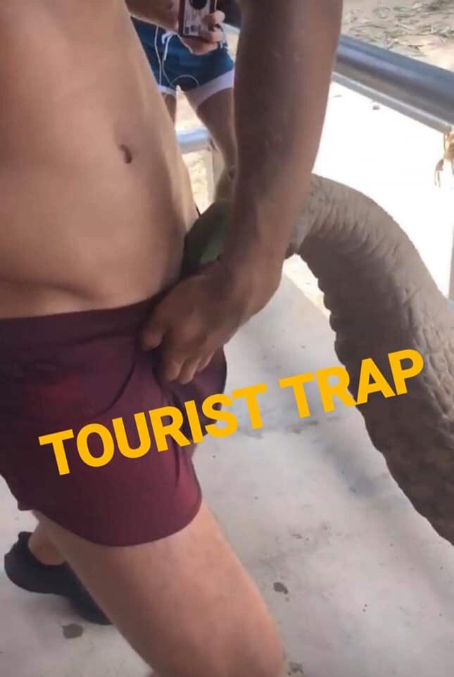 MandalaySamui's tweet photo. Hey @BoxMenswear, do you think it’s appropriate to exploit a blind rescued elephant like this? 

Shame on you guys. 

#KohSamui #Thailand #ElephantSanctuary #SaveTheElephants #Boxmenswear 🐘🇹🇭 https://t.co/yWdMPI9ap1
