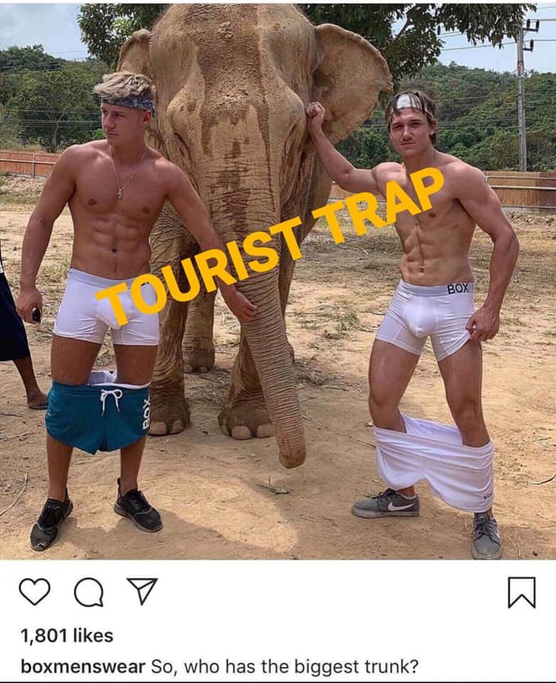 MandalaySamui's tweet photo. Hey @BoxMenswear, do you think it’s appropriate to exploit a blind rescued elephant like this? 

Shame on you guys. 

#KohSamui #Thailand #ElephantSanctuary #SaveTheElephants #Boxmenswear 🐘🇹🇭 https://t.co/yWdMPI9ap1