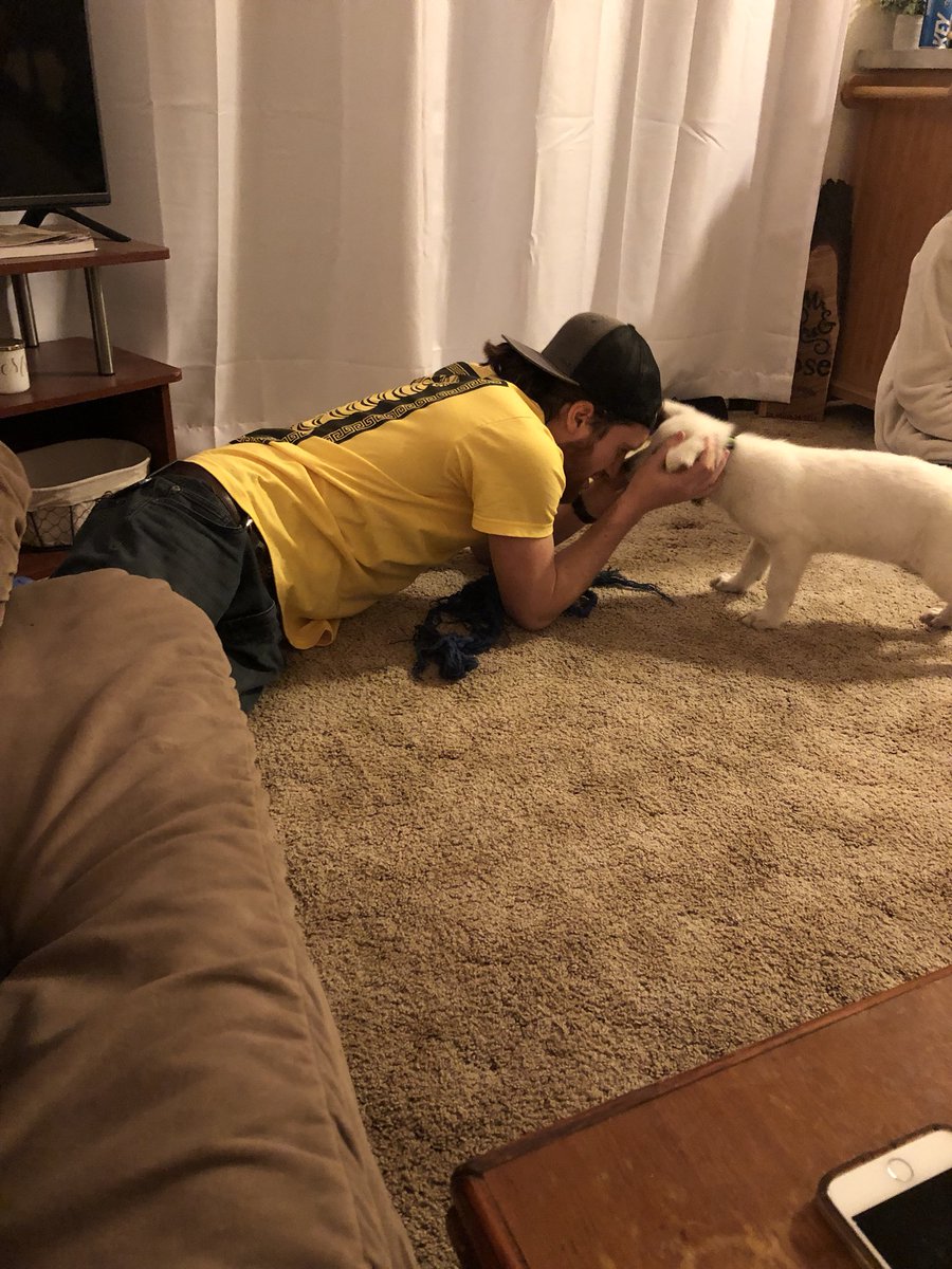 taylor_shannon1's tweet photo. Hey everyone, meet Shiloh 😋 newest addition to the Rose household 🙌🏽 https://t.co/bYMnCDgiqu