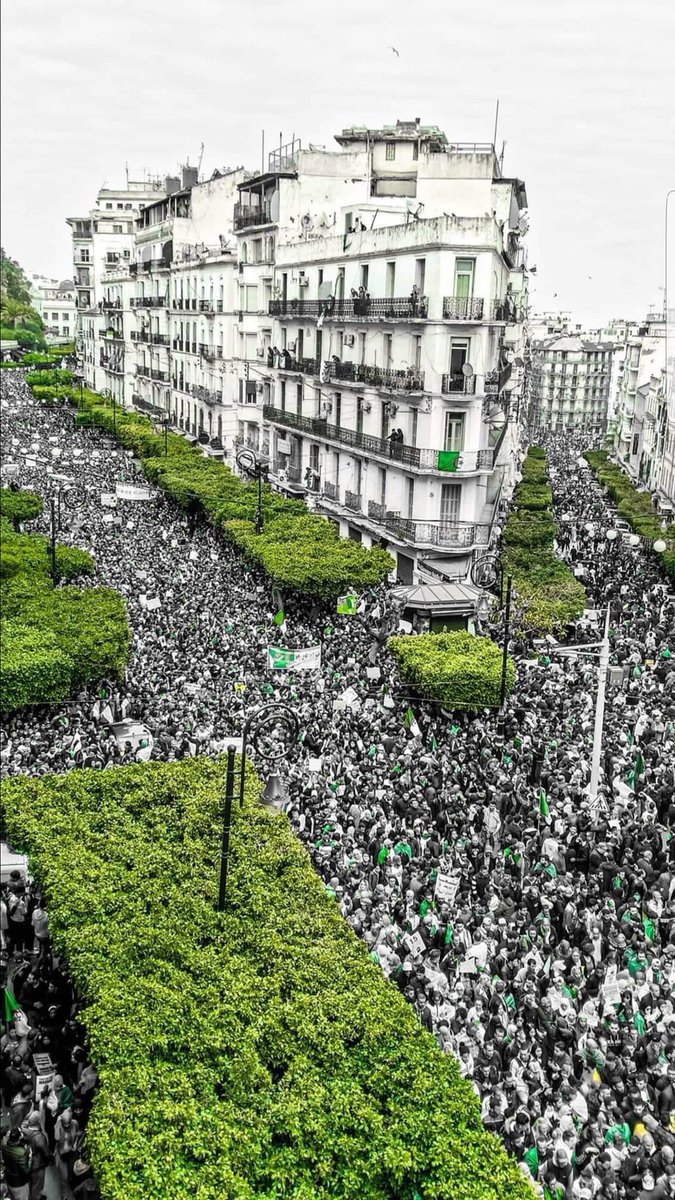 SlavitescuEuseb's tweet photo. Cette photo doit faire le tour du monde !! Une marrée humaine !!! 

#Algerie_manifestation https://t.co/pN6wdGUMVA
