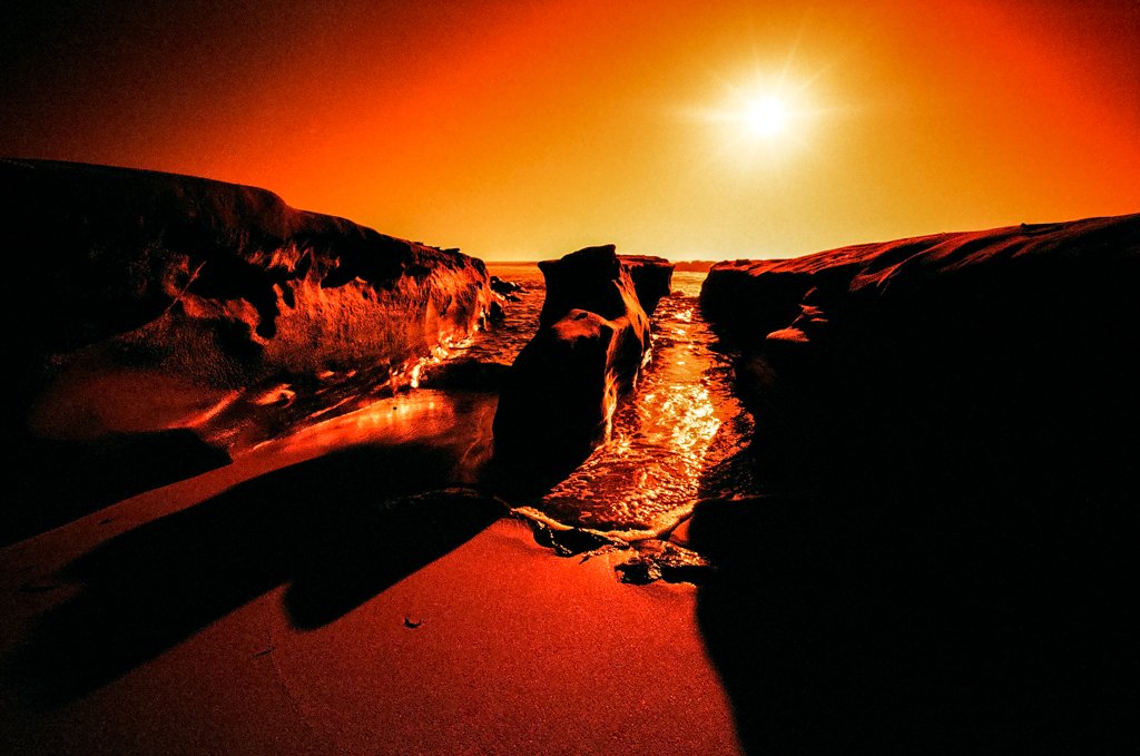 dizd's tweet photo. This is how I shoot #Portra400 #believeinfilm @OldSchoolLab #redscale #BIFscale https://t.co/g781EnjWPE