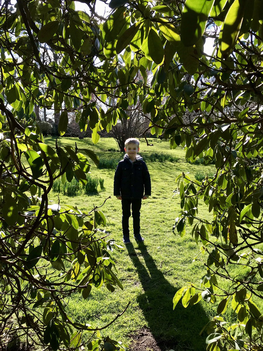 loubell1980's tweet photo. @CragsidePrimary Elliot bell 1SG enjoying a woodland walk at Delaval Hall https://t.co/UV5gIXndR0