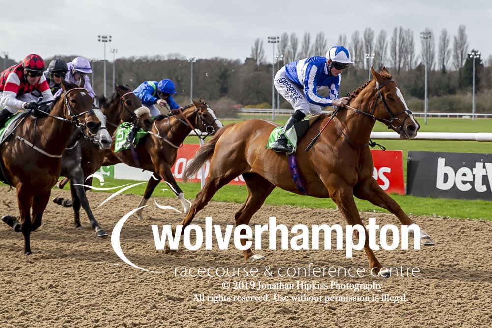 WolvesRaces's tweet image. ZWAYYAN was first past the post in the @SunRacing Lincoln Trial. Congratulations to @daveprobert88, #AndrewBalding and winning connections. #2ndRace 14:05

📷Pictures by @WolvesRacesPics