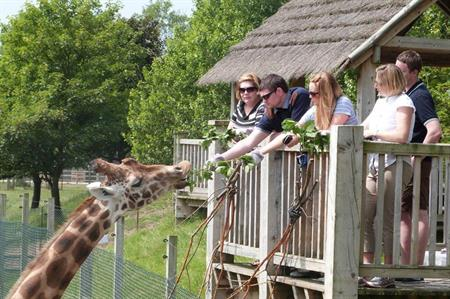 Inn on the Prom tweet media