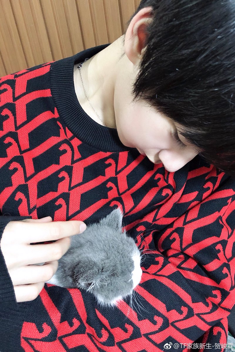 TF_HeJunLin's tweet photo. #HeJunLin weibo update：

我觉得吧我的微博今后怕是要换主角了

Link：https://t.co/2PfARHEsRn

#HeJunLin #贺峻霖 #เฮ้อจวิ้นหลิน #HạTuấnLâm #TFgiatộc #TF가족 #丁程鑫 #馬嘉祺 #敖子逸 #张真源 #張真源 #宋亞軒 #李天澤 #劉耀文 #宋文嘉 #姚景元 #台风少年团 #马嘉祺 #刘耀文 #宋亚轩 https://t.co/nTSgFE7e6C