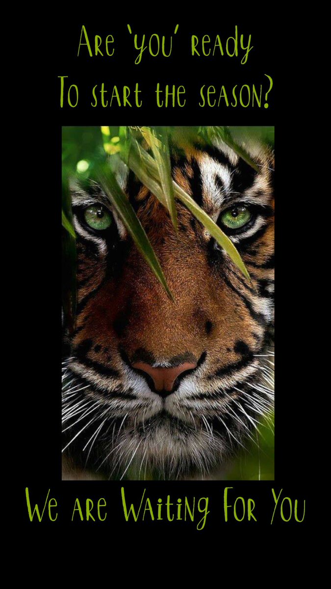 Fedecat-UK (@fedecat_uk) on Twitter photo 