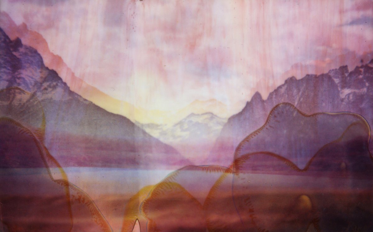 benprks's tweet image. #polaroid110 #fujifilm #instax