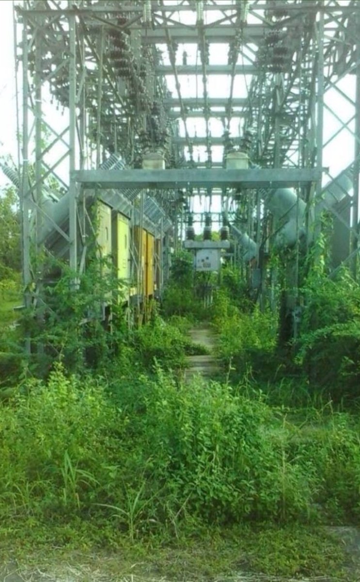 Cuando Corpoelec se convierte en set de grabación de Jurassic World
#MegaApagón