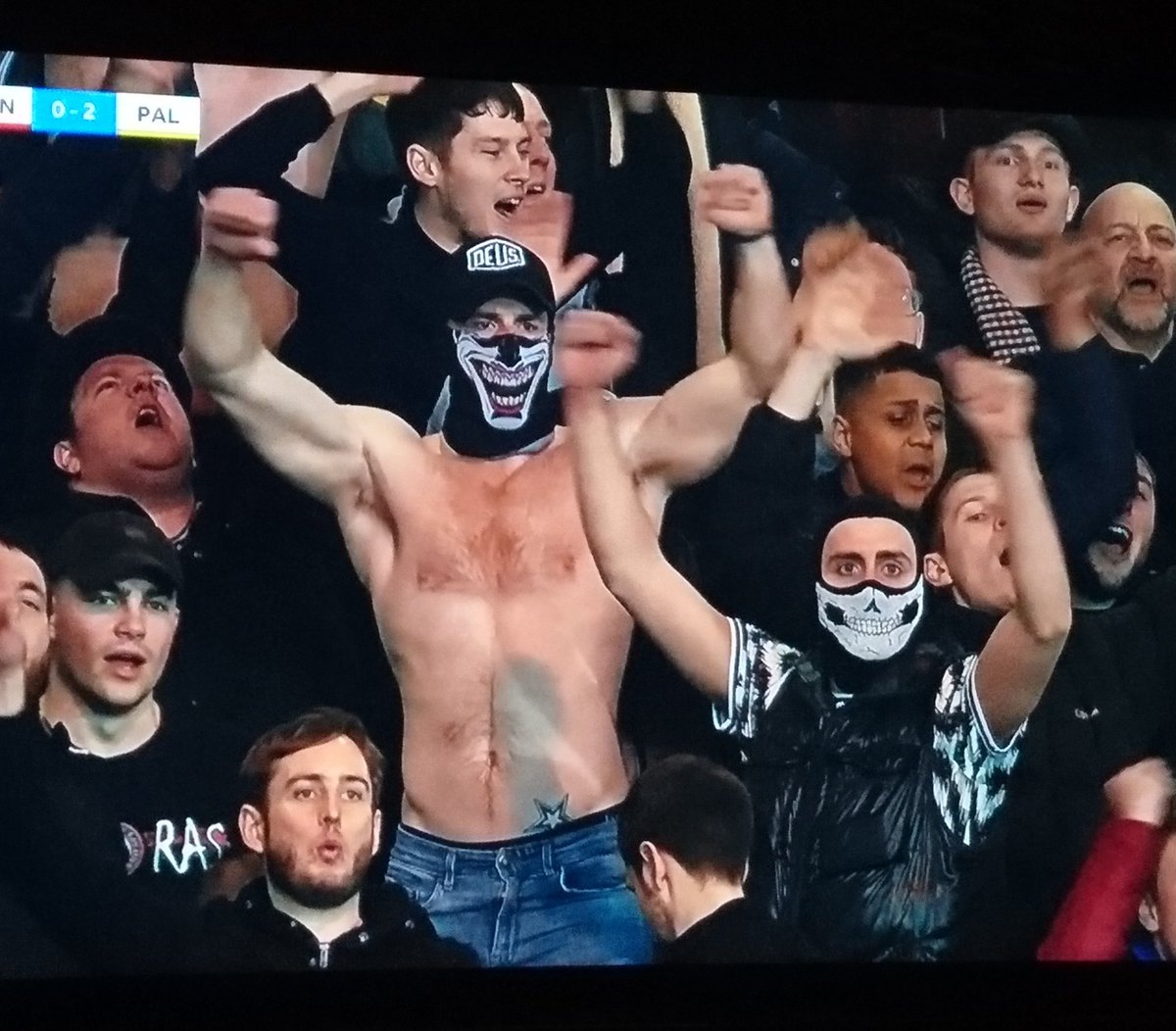 muzzatron77's tweet image. It makes my heart sing to know this fella and all his pals feel like shit right now 😂😂😂 #bhafc #cpfc #sixpoints