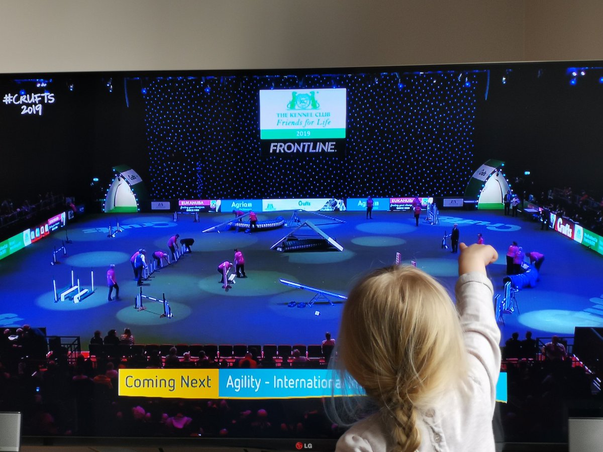 JollyMK's tweet photo. Poppy has spotted Grandad Dave Jolly #cruftsscreen https://t.co/SSJGZXscU0