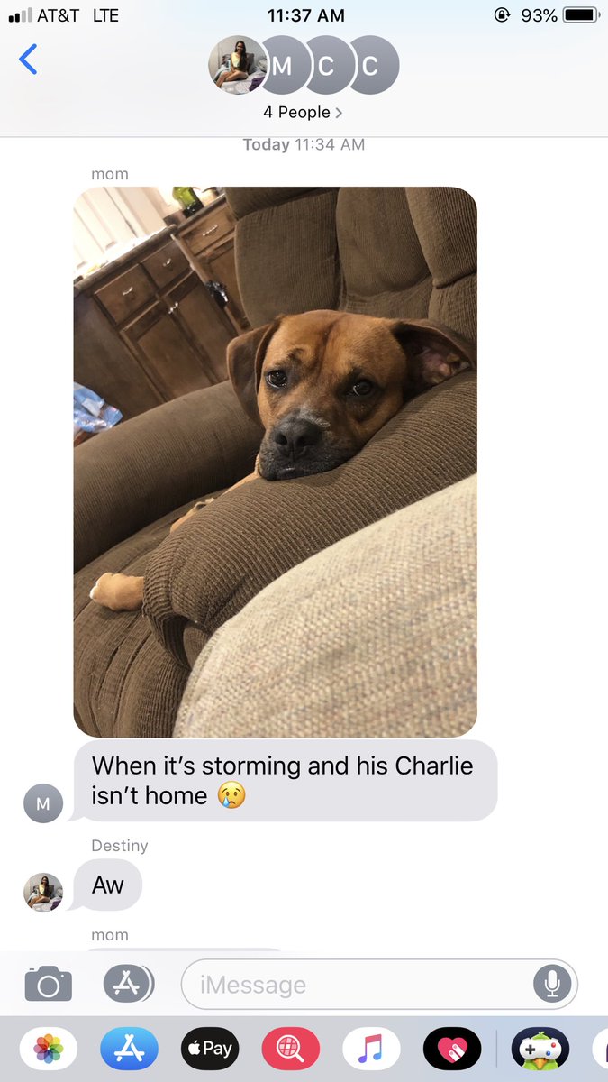 my brother is seriously bruce’s emotional support human.