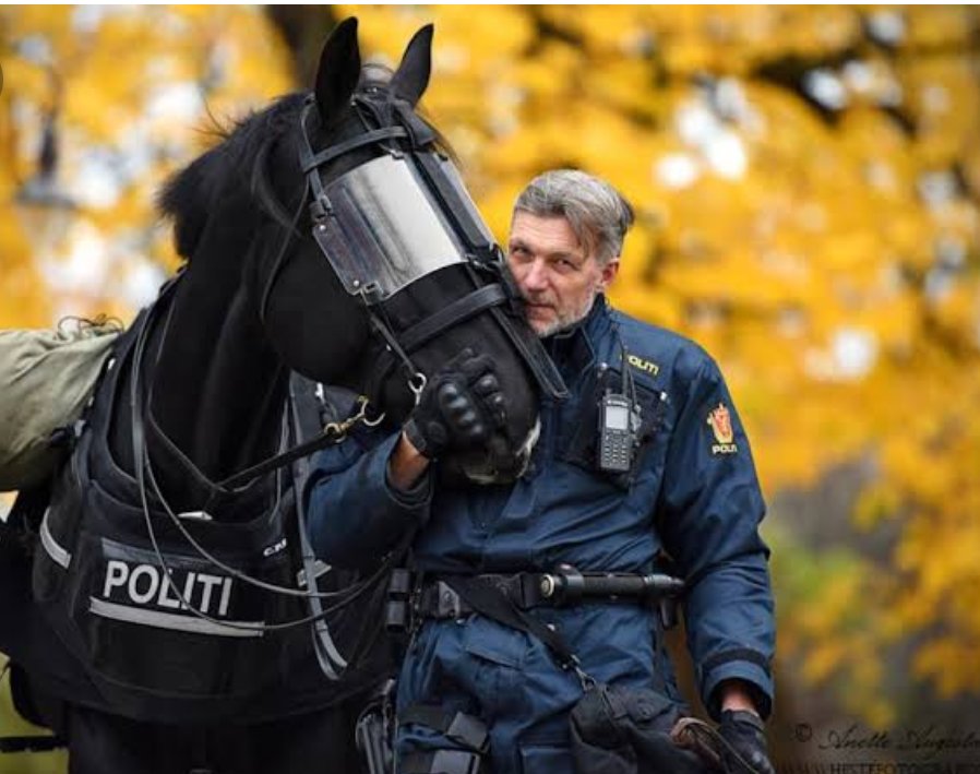 勘助 ノルウェーの騎馬警察がどストライクです