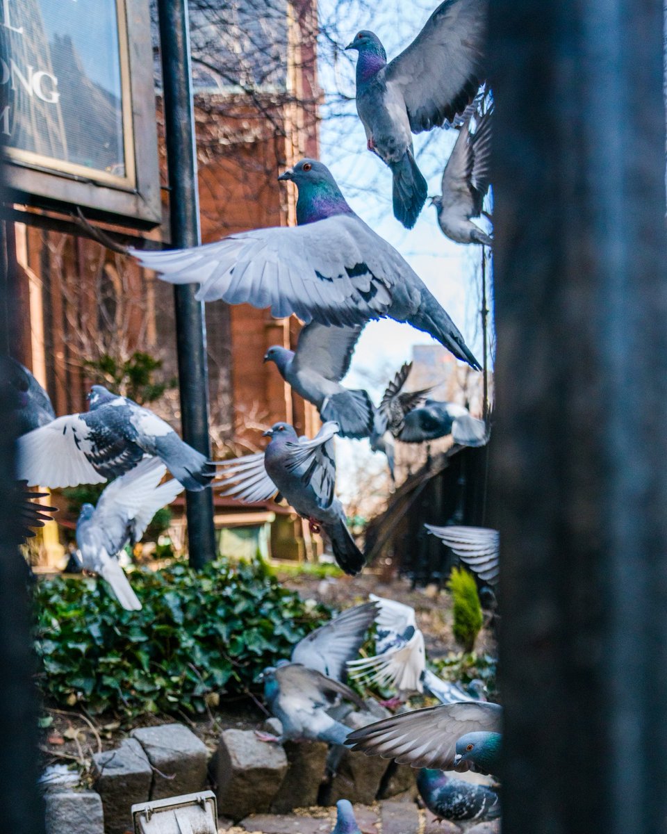 EvanMannPhotography (@evanmannphotog1) on Twitter photo 