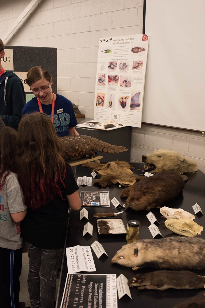 EEOB_OSU's tweet photo. @ASCatOSU @researchatOSU @OSUEnvironment @OUAB Just 2 more weeks!!! Join us!  Come see what we do- 10am-4pm, 3/23
Annual Museum of Biological Diversity Open House! https://t.co/rhqZ3GPklq
"Habitats for Biodiversity" #free #kidfriendly #lifeisaclassroom #evolutionecologyeducation https://t.co/godgJnz1H3