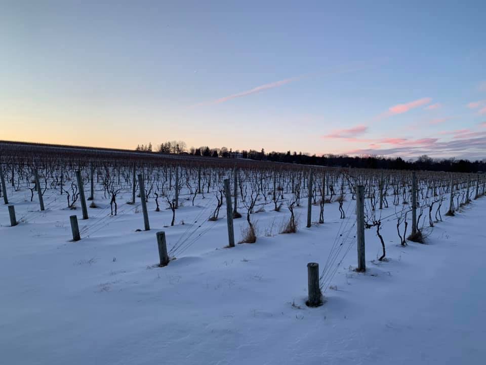 Ravines Wine Cellars tweet media