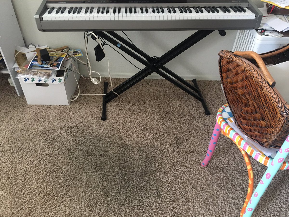 CardinlCarpetAZ's tweet photo. I want to be or carpet cleaner follow me in scottsdale AZ today. We also clean tile and grout, upholstery, rugs, we offer same-day service call for availability and book today! Mon-Sat.8am-8pm.(602)678-1536 #Carpetcleaning #Tilecleaning #Googlemybusiness #Schemmamarkup #Seo #Uiux https://t.co/LJuVMpRkjW