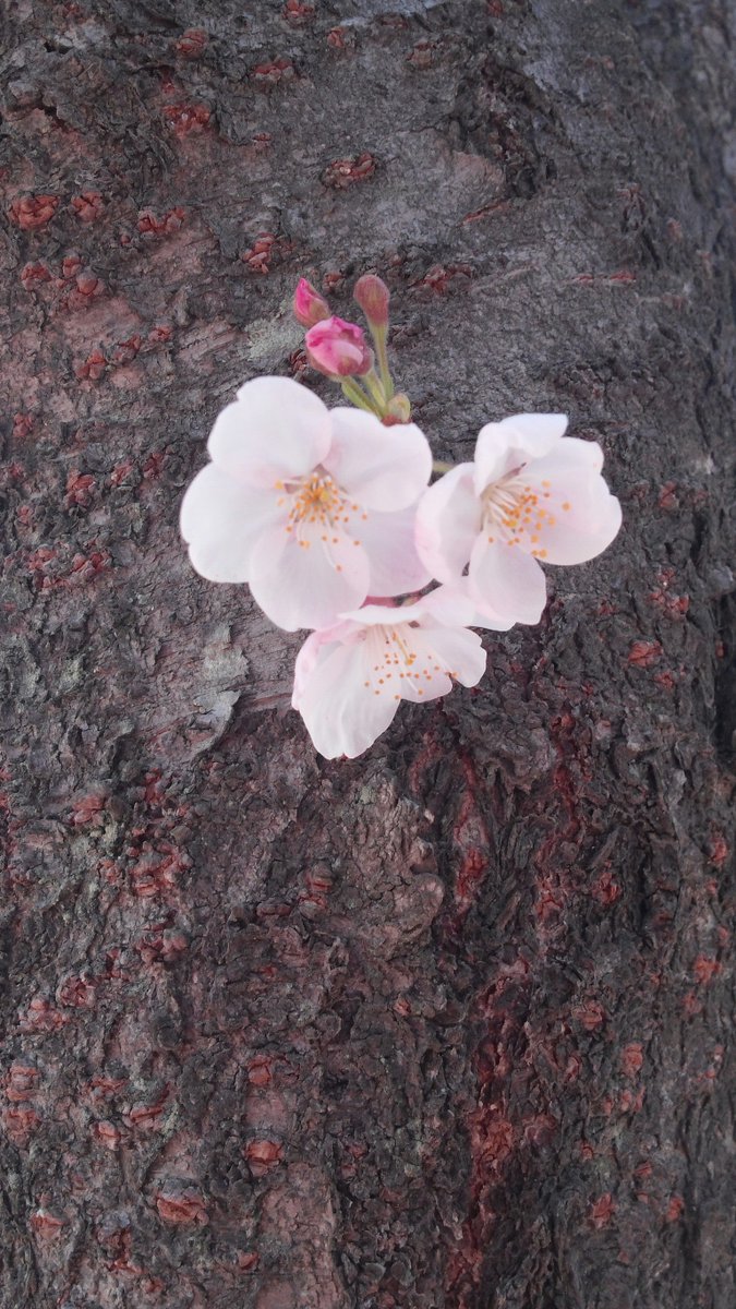 신천지, 태초의 생명의 말씀의 하나님 (출처 : 진짜바로알자 신천지 | 네이버 카페) naver.me/GgZF173m
#신천지 #태초의생명 #생육번성