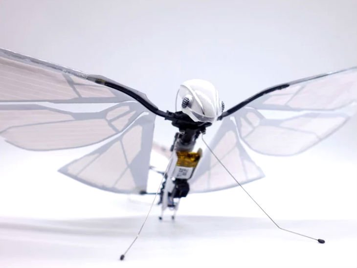 fnind's tweet image. #fnind 100 मीटर की ऊंचाई तक उड़ सकता है कीड़े जैसा रोबोट, रफ्तार 18 किमी/घंटा @ focusnews.co.in/fly-robot/ #FocusNews #FlyRobot #Technology