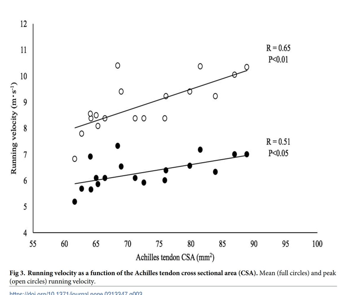 lahti_johan's tweet photo. New and open access by monte etc al:
"Correlations between muscle-tendon parameters and acceleration ability in 20 m sprints."
https://t.co/5cGt8A3cdj
#pennationangle #fasciclelength #tendonCSA https://t.co/d2sdO5IUOv